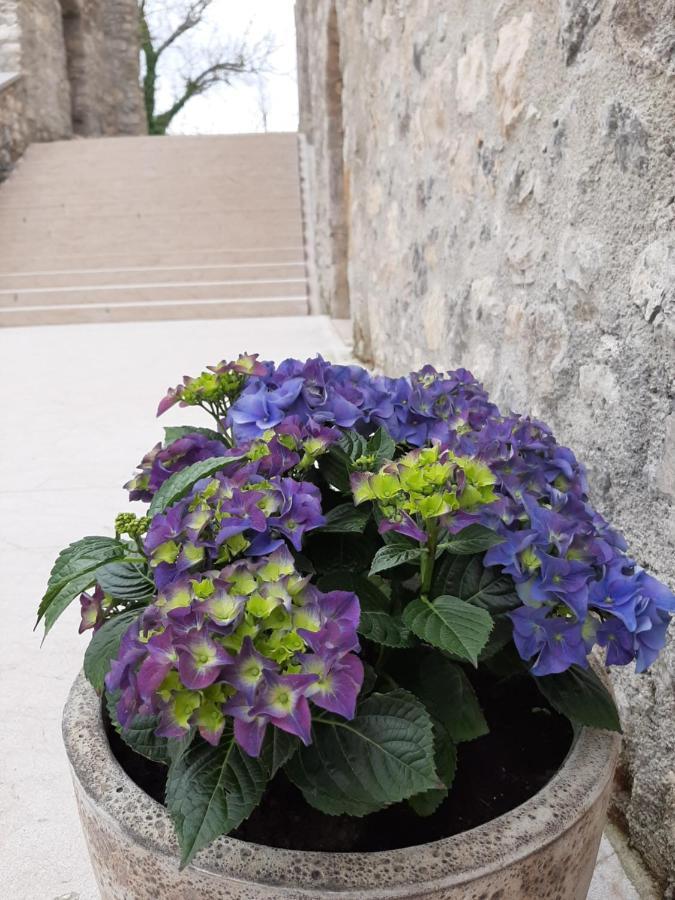 Vinica Castle 호텔 외부 사진